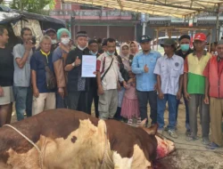 Daging Kurban Presiden Dibagikan ke Warga Pandeglang