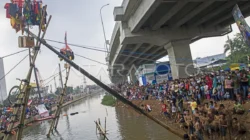 Puluhan Petugas Linmas Ikut Panjat Pinang